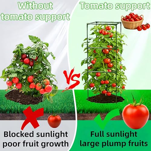 3 Pack Square Tomato Cages for Garden, 48 Inch Tall Heavy Duty Metal Tomato Plant Support Trellis, Adjustable Large Tomato Stakes for Outdoor Pots Climbing Plants, Vegetables, Cucumber - size: 48Inch