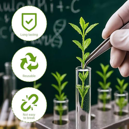 10 Pcs Glass Test Tubes for Plants, 18ml Clear Propagation Tubes with Brush, Round Bottom Testing Tube for Hydroponic Plants, Flowers, Home Office Wall Decor