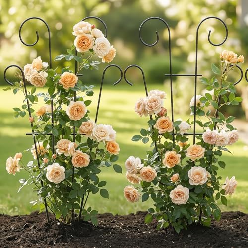 Thealyn 4 Pack 23 Inch Plant Trellis for Potted Plants - size: 23 inch