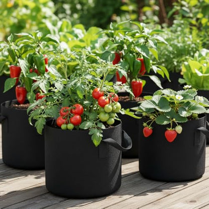 10pcs Gallon Black Grow Bags - Reinforced Fabric Planters with Handles for Gardening, Breathable & Durable Garden Raise Supplies, Ideal for Indoor & Outdoor Vegetable Gardens