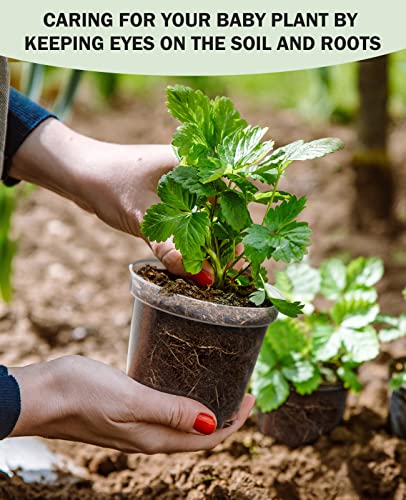 homenote 5 Inch Clear Nursery Pots with Drainage Holes for Plants (30 Pcs) - color: Clear, size: 5 Inch-30 Pack