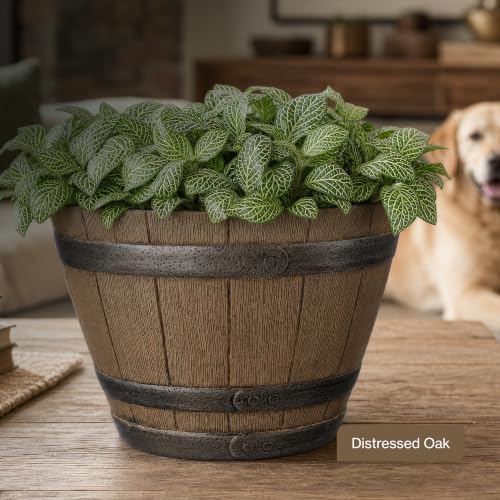 9" Jameson Whiskey Barrel with Drainage in Distressed Oak - color: Distressed Oak, size: 9"
