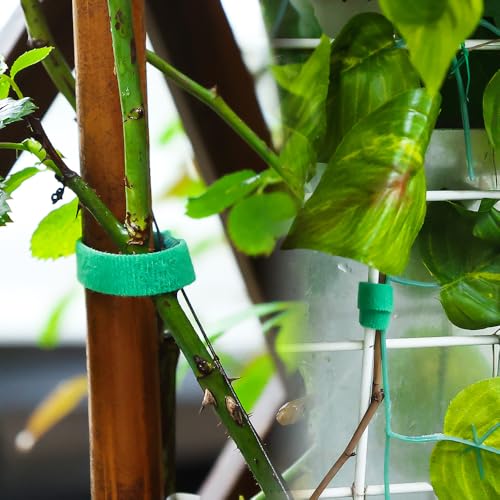 Green Nylon Plant Ties Reusable Cable Hook Loop Organizer Strap Support Double Side Fastener Tape Home Garden Accessories (2roll,1m*1cm) - color: 2roll,1m*1cm