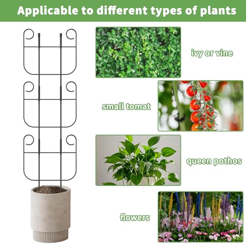 2 Pack Trellis for Climbing Plants Indoor, Expandable Small Metal Trellis for Potted Plants, Flowers Vine Ivy, Sturdy Houseplant Pothos Plant Climber Support - size: 2 Pack-15in(H)x10in(L)