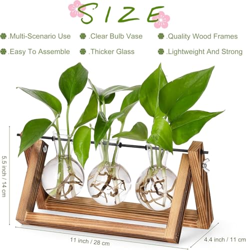 Plants Propagation Stations,Desk Plant Terrarium with Retro Wooden Stand,Plant Lover Gifts for Women for Hydroponics Home Garden Office Decoration - 3 Bulb Vase
