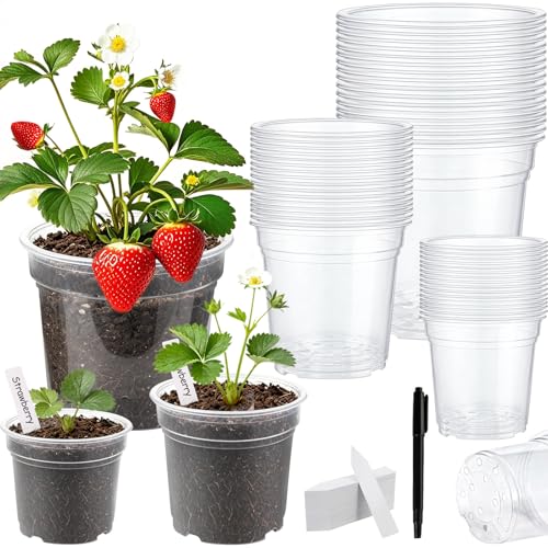 60 Pack Clear Nursery Pots with Drainage Holes, 5/6//7 Inch