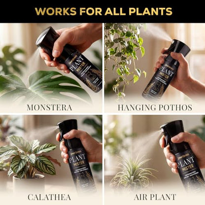 Plant Mister Spray Bottle for Indoor Plants With Plant Care Guide - color: Black with Gold Cat