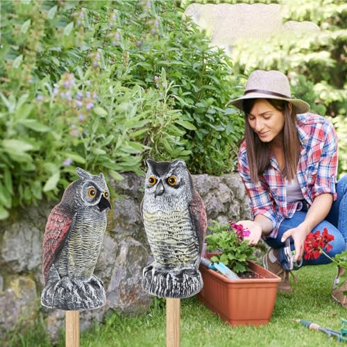 Hedoc 2 Pack Fake Owl Decoys to Scare Birds Away, Great Horned Owl Bird Deterrents, Nature Scarecrow Plastic Pest Repellent, Garden Decor and Yard Decoration for Gardens and Rooftops - style: Great Horned Owl