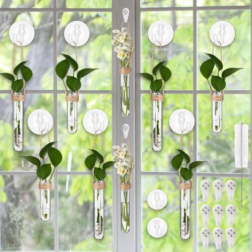 Baderke 9 Pack Clear Window Propagation Stations Plastic Window Planter with Suction Cups & Traceless Nails, Propagated Plant Holders with Bottle Brush, Hanging Vases Terrarium Gift (5.5''& 5"& 3.7'') - size: 5.5 Inch & 5 Inch & 3.7 Inch