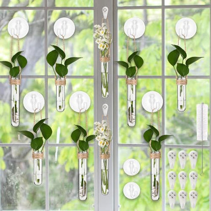 Baderke 9 Pack Clear Window Propagation Stations Plastic Window Planter with Suction Cups & Traceless Nails, Propagated Plant Holders with Bottle Brush, Hanging Vases Terrarium Gift (5.5''& 5"& 3.7'') - size: 5.5 Inch & 5 Inch & 3.7 Inch
