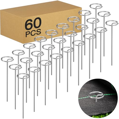 60 Pcs 6-Inch Heavy-Duty Galvanized Landscape Staples – Thickened 8 Gauge Circle Top Pins, Rust-Resistant for Weed Barrier, Landscape Fabric, and Garden Projects - size: 6 in 60 PCS