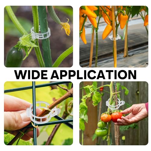 180 Pcs Plant Support Clips, Clear Plastic Trellis Clips, Garden Clips, Vegetable Clips, Vine Tomato Clips for Plants Support, Plant Clips for Climbing Plants to Grow Upright & Healthier - RamPro