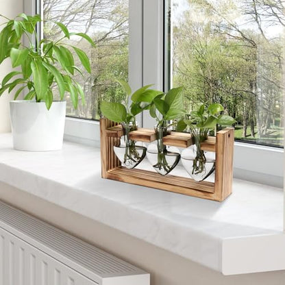 Plant Terrarium Propagation Stations Hydroponics - color: Gray