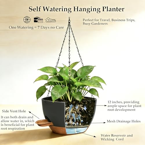 2 Pack 12 Inch Self‑Watering Hanging Planters Plant Pots, Black‑Brown - color: Black Brown