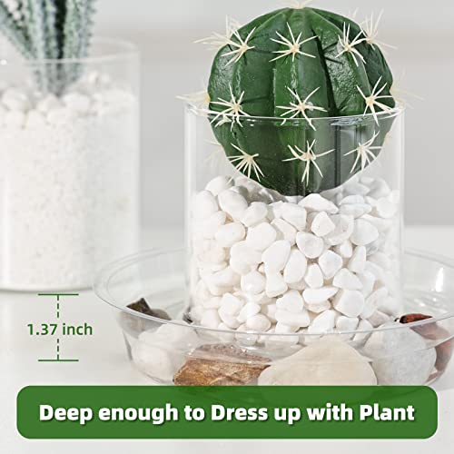 TRUEDAYS 20 Pack Plant Saucers (6 inch / 8inch / 10inch / 12inch) Clear Plant Saucers Flower Pot Tray Excellent for Indoor & Outdoor Plants - size: 6,8,10,12Inch