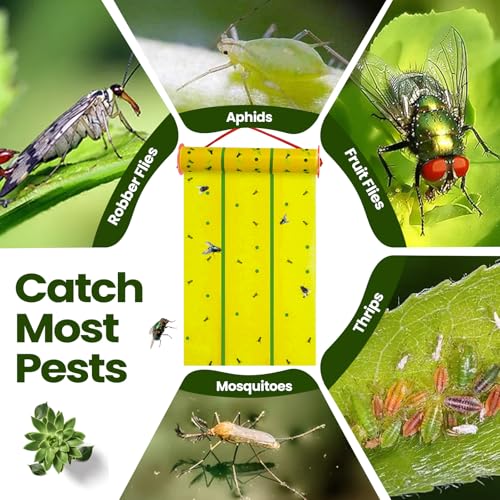 Qualirey 5 Pcs Giant Flypaper Fly Traps, 295ft Sticky Yellow