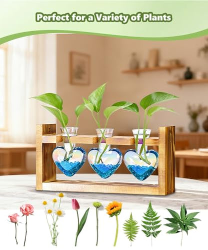 Nacome Plant Terrarium with Wooden Stand, 3 Heart Bulb Glass Vases - color: Iridescent Clear