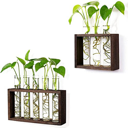 Wall Mounted Hanging Glass Test Tube Planter Propagation Station Glass Vase Rack with Wood Stand, Plant Terrarium Holder for Hydroponics Succulent Air Bamboo Plants with Test Tube