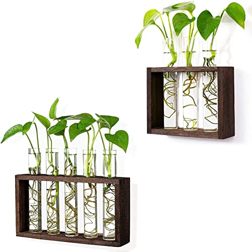 Wall Mounted Hanging Glass Test Tube Planter Propagation Station Glass Vase Rack with Wood Stand, Plant Terrarium Holder for Hydroponics Succulent Air Bamboo Plants with Test Tube