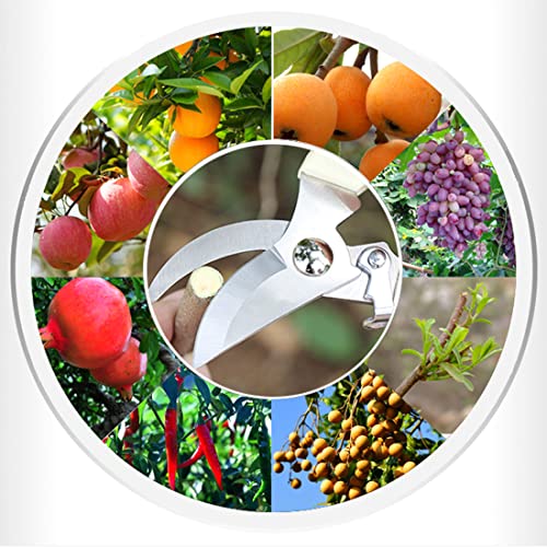 Leize Pruning Shears, Gardening Hand Pruner, Floral Shears, Strong Pruner for Flowers, Branches and Leaves (LightBlueA) - color: Lightbluea