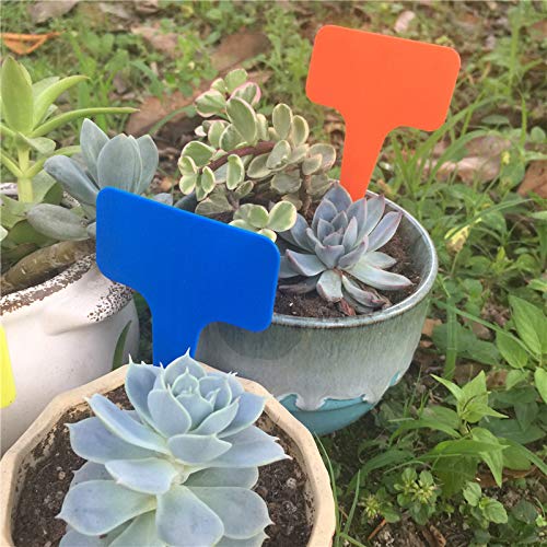 6 Pack Multicolor Waterproof Plastic Plant Labels Garden Markers for Flower Seedlings (B)