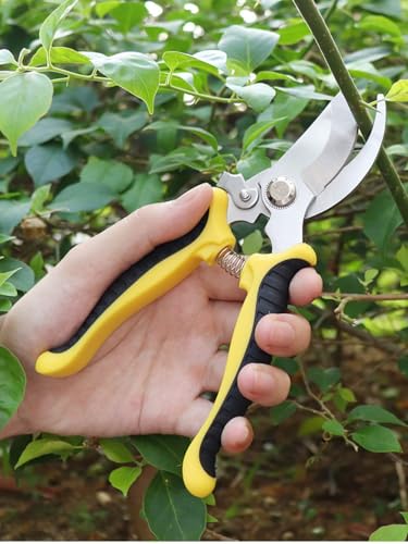 2Pcs Gardening Shears, Curved Garden Shears and Straight Gardening Pruning Shears, Ultra Sharp Stainless Steel Garden Scissors Trimmer (Yellow) - color: Yellow
