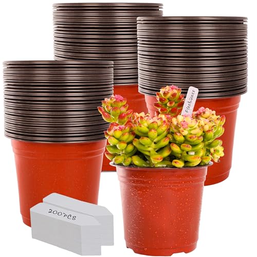 TDHDIKE 6" Plastic Plant Nursery Pots 200Pcs with 200 Labels - size: 6inch200
