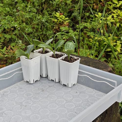 60 Pack 1.95 Inch Tiny White Plastic Square Nursery and Seedling Pot, Mini Deep Transplant Seed Starter Planter with Drain Hole for Germination, Herb, Succulent - color: White