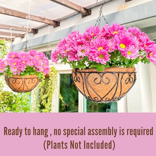 LaLaGreen Coco Hanging Baskets (10 in, 2 Pack) Black Metal Wire Flower Pots - size: 10" (25 cm) x 2 Pack