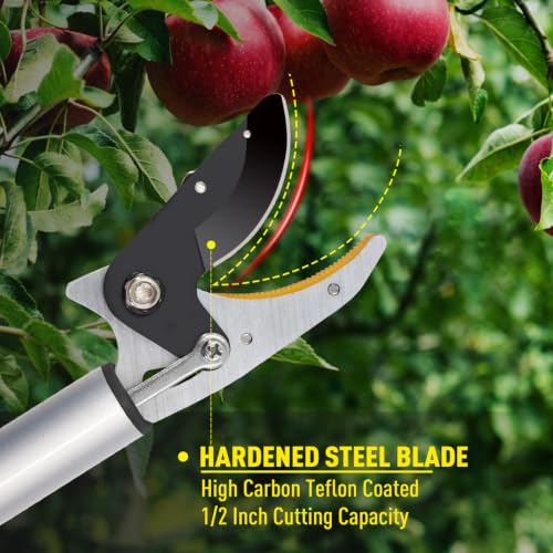 Altdorff Cut and Hold Pruner Set, Lightweight 32-Inch Long Reach Pruner One-Handed Operation, Hold Long Reach Cut Rotating, 8.3" Hand Pruner for Branch Pruning, Fruit Picking, Prickly Plants & Roses