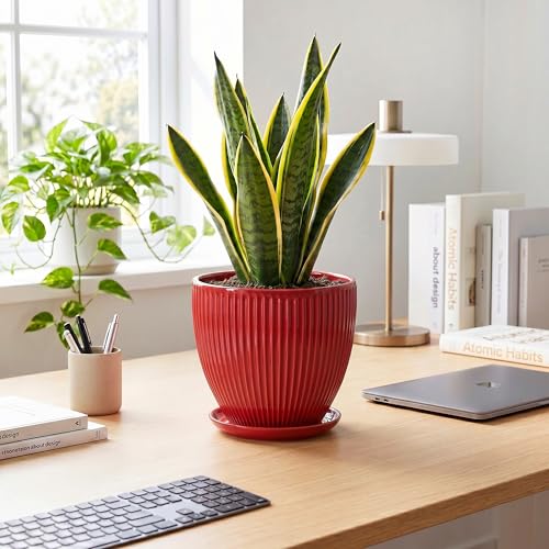 Ceramic Flower Pots 8 Inch, Ceramic Planters with Saucer, Red - color: Red, size: 8 Inch