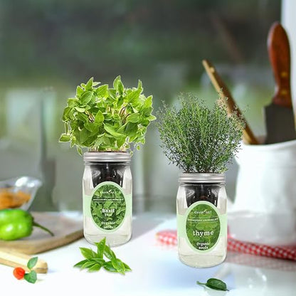 2-Pack Hydroponic Mason Jar Herb Garden Kit, Indoor Herb Garden Self-Watering Starter Kit, New Christmas Gift for Mom (Thyme,Thai Basil)