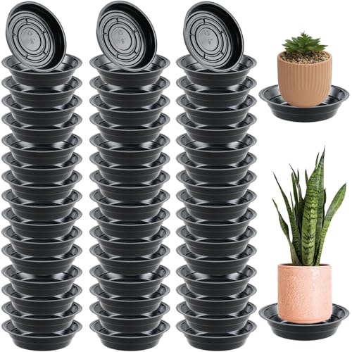 50 Packs 8 Inches Plant Saucers for Indoor Outdoor Use Heavy Duty Plastic Plant Plate Dish for Planter Bulk Round Flower Pot Drip Trays to Catch Water 4 to 20 Inch, Black - color: Black/ 50 packs, size: 8 inches