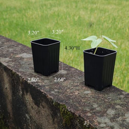 16 Pack 3.20 Inch Small Black Plastic Square Nursery and Seedling Pot, Deep Transplant Seed Starter Planter with Drain Hole for Germination, Herb, Succulent - color: Black