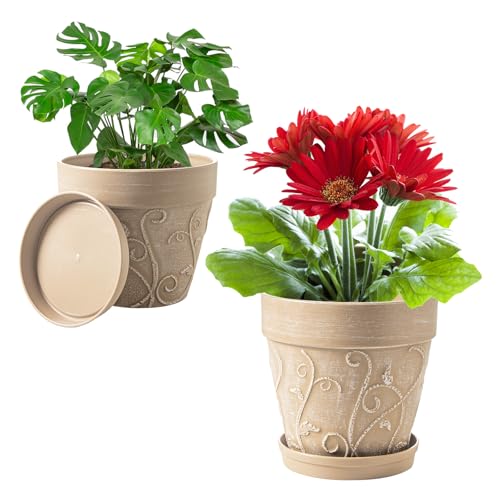 Melphoe Plant Pots Indoor with Drainage & Saucer, 2Pack 7/8 inch Flower Pots Outdoor Planters for Indoor Plants Garden Home Decor Cactus Succulent, Rigid Plastic (Imitation-Terracotta) Vine-Embossed - color: Undecorated Pottery Color, size: 7/8 inch