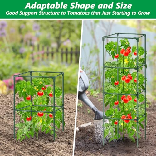 6Pack Tomato Cages for Garden,Square Tomato Plant Cage Support Heavy Duty Pole 57*15.4*15.4 Inches,Steel Plant Tower Stakes,Cherry Tomato Trellis Cucumber for Climbing Vegetables Flowers Fruits-Green - color: Tomato Cages-Green