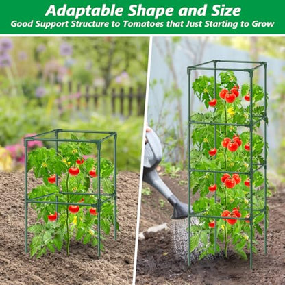 6Pack Tomato Cages for Garden,Square Tomato Plant Cage Support Heavy Duty Pole 57*15.4*15.4 Inches,Steel Plant Tower Stakes,Cherry Tomato Trellis Cucumber for Climbing Vegetables Flowers Fruits-Green - color: Tomato Cages-Green