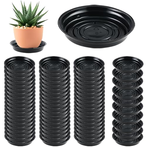 70 Packs 8 Inches Large Plant Saucers for Indoor Outdoor Use Heavy Duty Plastic Plant Plate Dish for Planter Bulk Round Flower Pot Drip Trays to Catch Water 4 to 20 Inch, Black - color: Black/ 70 packs, size: 8 inches
