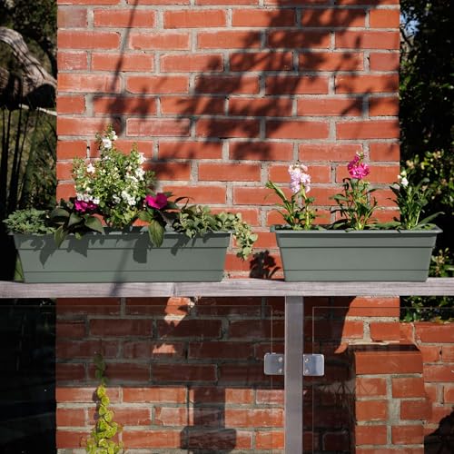 Bloem Dura Cotta 18" Plastic Window Box Planter with Saucer, Basil