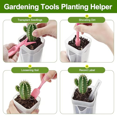 HITOSTAR 6 Pack 2 Inch Mini Clear Self Watering Pots for Indoor Plants, Small Plastic Planters with Drainage, Hydroponic Nursery Propagation Cups, for African Violet Alocasia Pot (2 Inch, 6 Pack) - size: 2 Inch