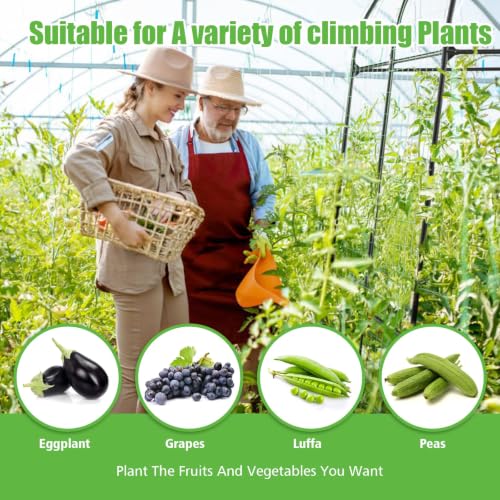BUKLIYN Garden Arch Trellis for Climbing Plants Outdoor - Size:71 * 87 inch - size: 71(L) * 49(W) * 87(H)-16MM