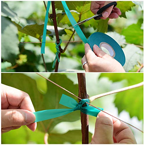 TELENT OUTDOORS 2 Pcs 150 Feet x 1/2" Wide Stretch Tie Tape Green Plant Garden Tie, Garden Vinyl Stake for Branches, Climbing Planters, Flowers - size: 300FT