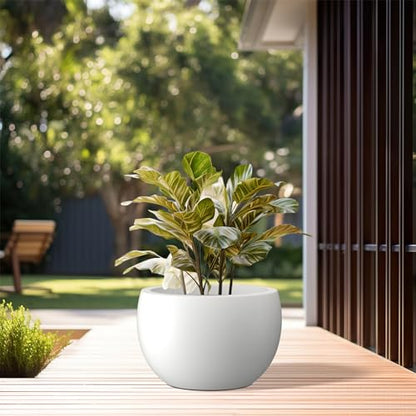 Kante Small Round Bowl White Concrete Planter 11.8" Dia, Outdoor - color: Pure White, size: 11.8" d