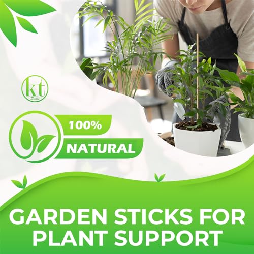 100 Pack 16" Bamboo Plant Stakes for Indoor Plants, Long Wood Skewers Sticks for Plant Support Tomato Floral Flower Bouquet, Garden Wooden Sticks Sign Posting and Other Crafts (100pc - 16 inch)