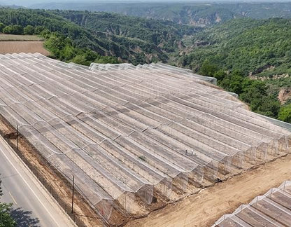 HDPE Diamond Anti-Hail & Anti-Bird Netting,40g/㎡,Tear/UV Resistant & Anti-Aging.Protection for Gardens,Farms,Orchards,Includes Work Gloves,2×4m/6.6×13.1ft - size: 2×4m/6.6×13.1ft