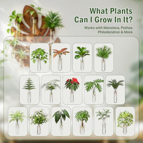 Plant Propagation Station, Monstera Hanging Wall Planter with 6 Glass Tubes - size: 1 Pack