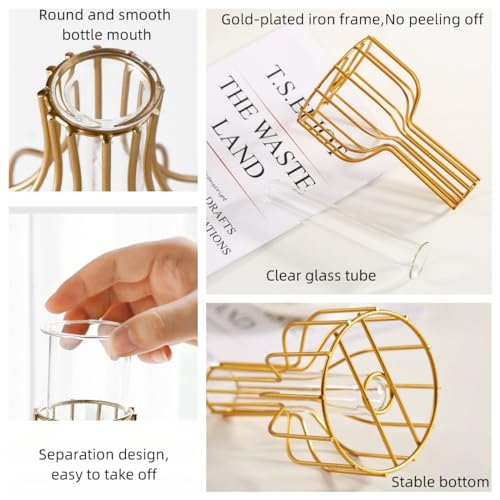 IvyMei Luxurious Nordic Gold Table Flower Vase Metal Frame Glass Tube - color: Gold 7