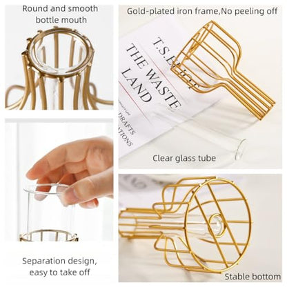 IvyMei Luxurious Nordic Gold Black Table Flower Vase Metal Frame Glass Tube - color: Gold Black