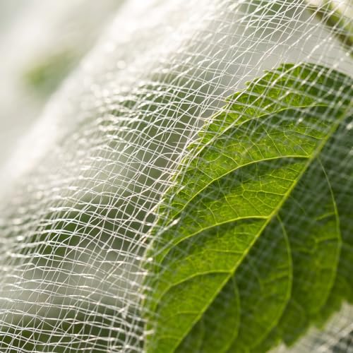 4 Pack Garden Netting with Drawstring, Bird Netting Plant Protection Bags in 2 Sizes for Tomatoes, Blueberries, Vegetables, Fruit Trees, Cicadas and Garden Pest Barrier