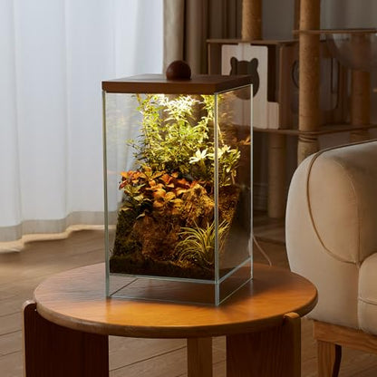 Large Glass Plant Terrarium: 13.7H+7.8W Terrarium with Light - size: H-13.7IN